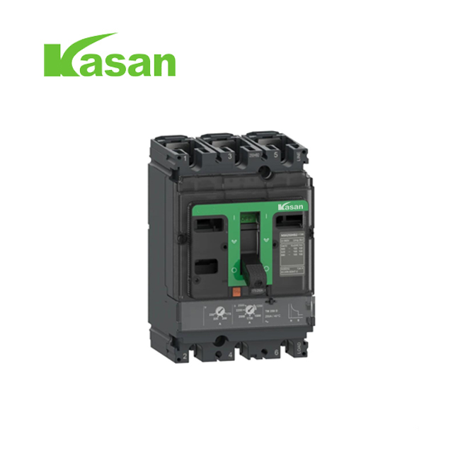 100A 3P NSX Formed Case Circuiter